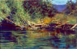 North Santiam Deadfall